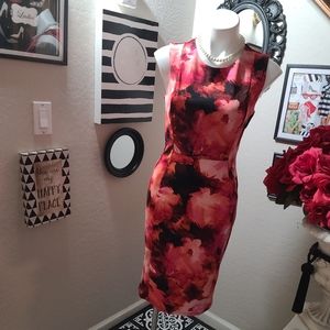 Enfocus Studio,6, Red,Black